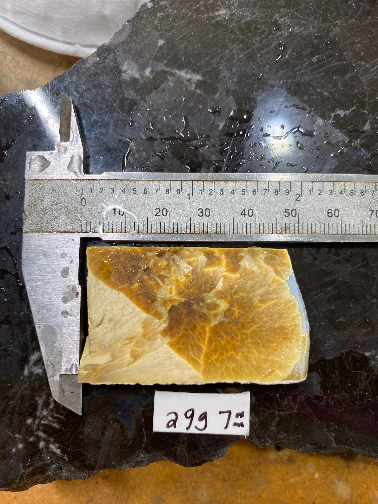 Bridewell Stone Lapidary Slab