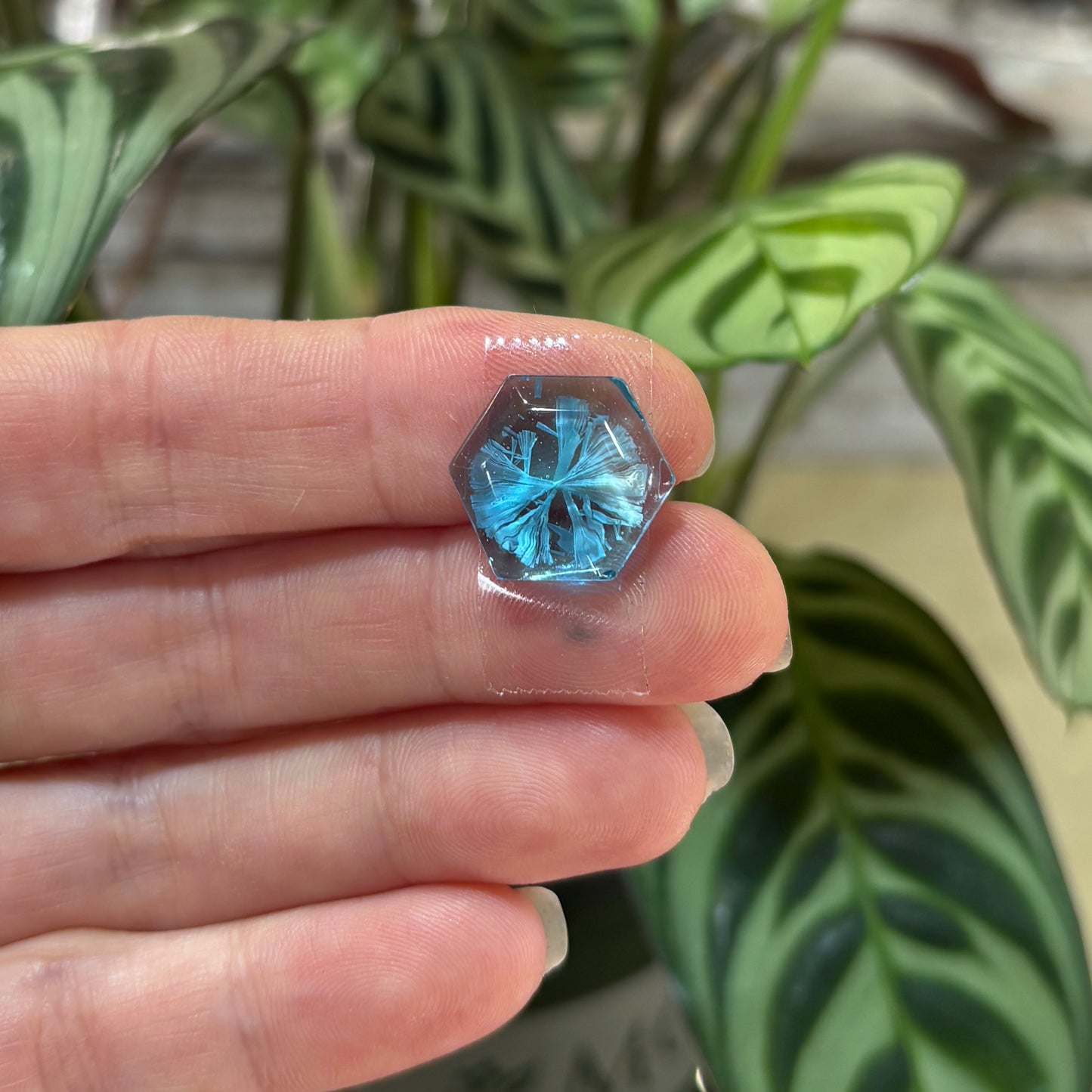 Bridewell Stone Cabochon— Personally Created and Cut by Artist Ray Bridewell
