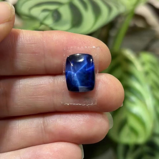 Bridewell Stone Cabochon— Personally Created and Cut by Artist Ray Bridewell